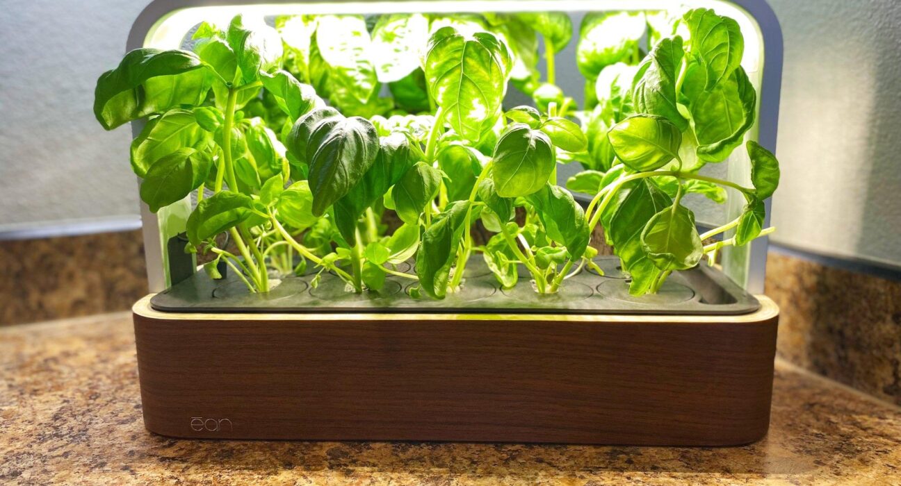 EDN SmallGarden: Sleek Design and App-Controlled Indoor Herb Growing