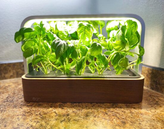 EDN SmallGarden: Sleek Design and App-Controlled Indoor Herb Growing