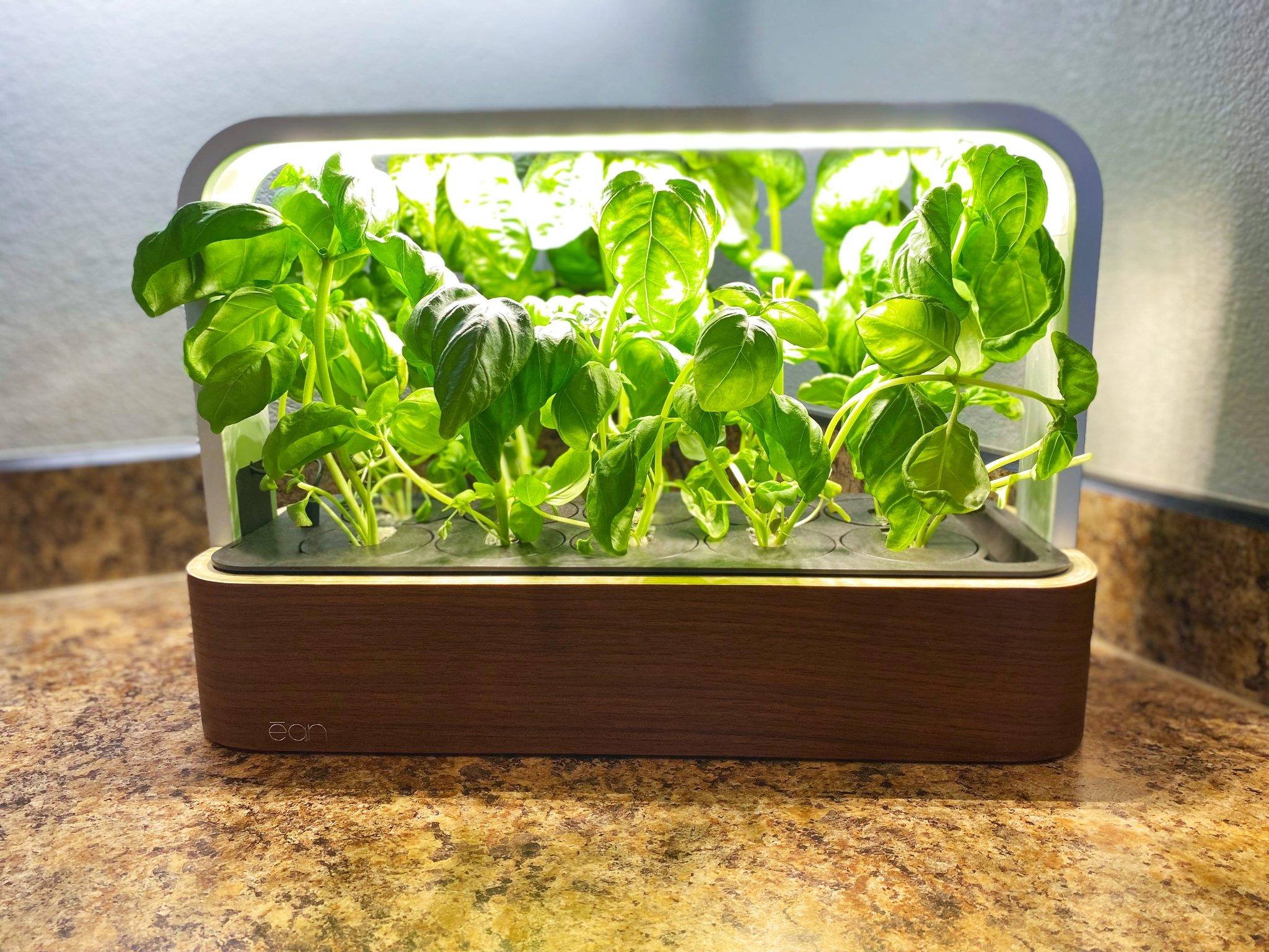 EDN SmallGarden: Sleek Design and App-Controlled Indoor Herb Growing