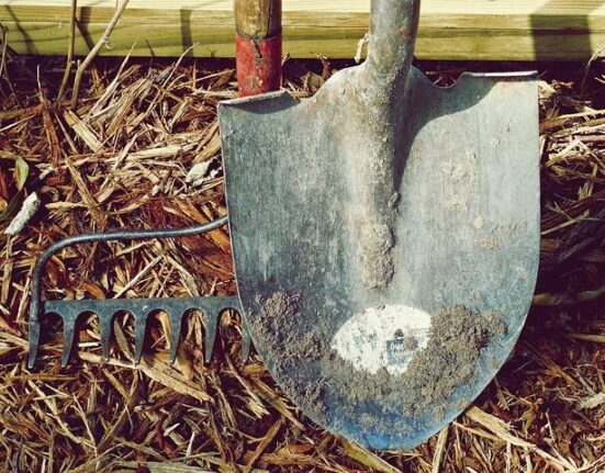 Best Garden Tools for Seniors: Ergonomic and Easy-to-Use Options