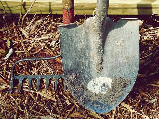 Best Garden Tools for Seniors: Ergonomic and Easy-to-Use Options