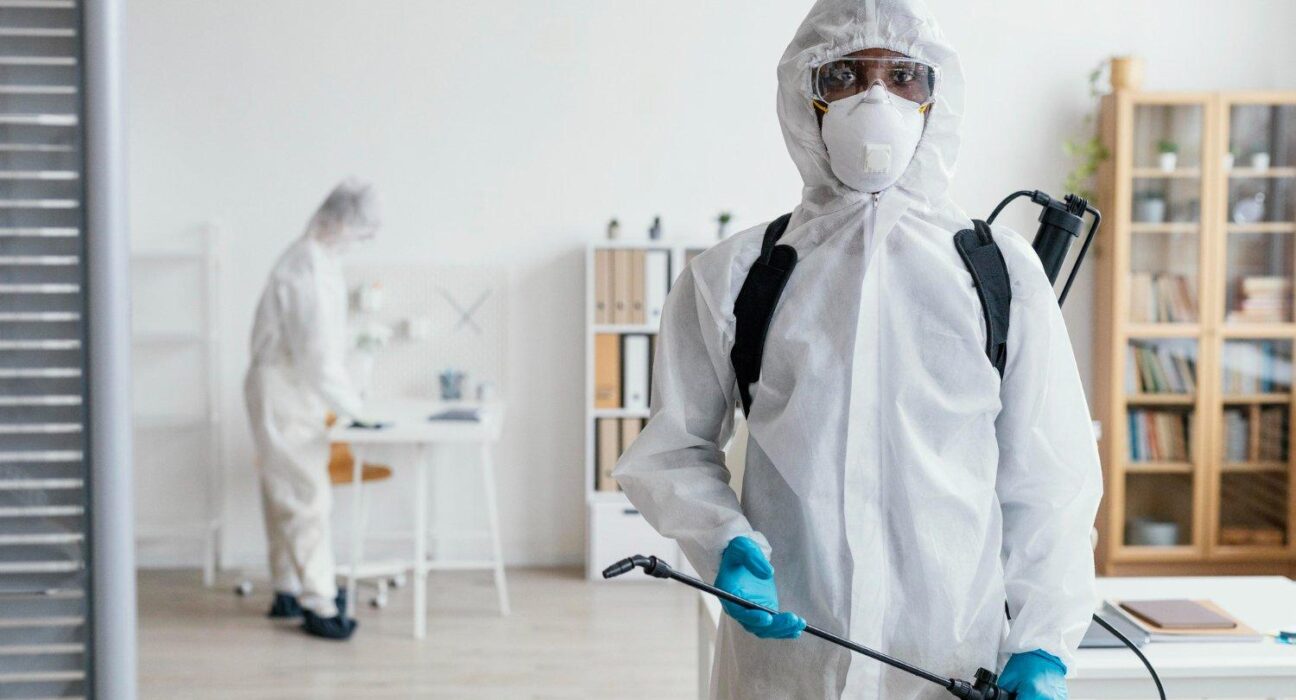 Best Pest Control Solutions for Organic Gardens: Safe and Effective