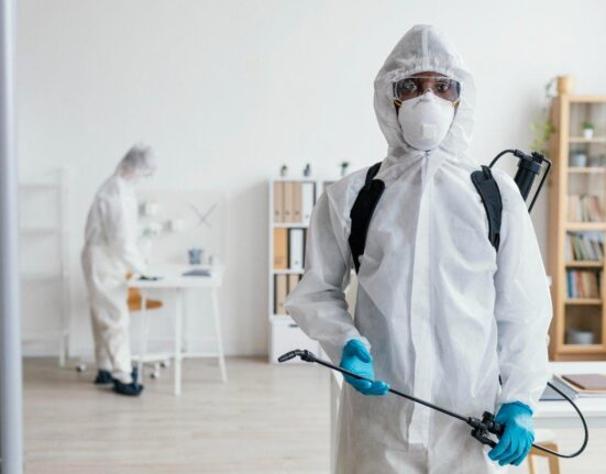 Best Pest Control Solutions for Organic Gardens: Safe and Effective