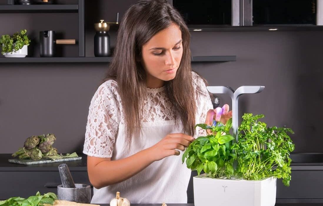 Veritable Smart Arctic White Indoor Vegetable Garden: Modern and Easy to Use