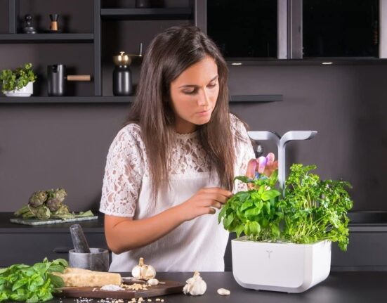 Veritable Smart Arctic White Indoor Vegetable Garden: Modern and Easy to Use