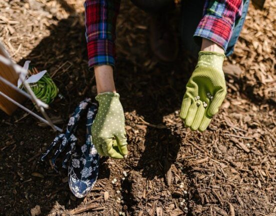 Best Garden Gloves for Comfort and Protection: Top Picks for 2025