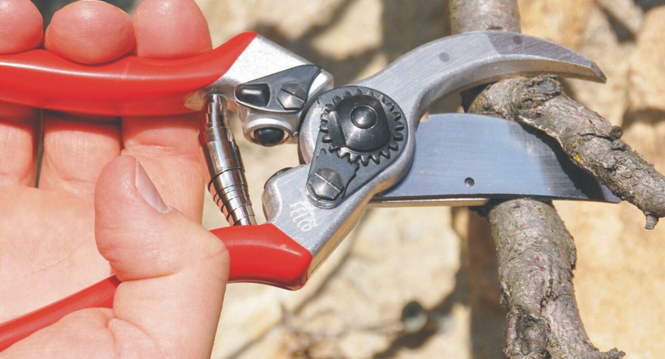 Felco F-2 Pruning Shears Review: Durable and Comfortable for Heavy-Duty Trimming