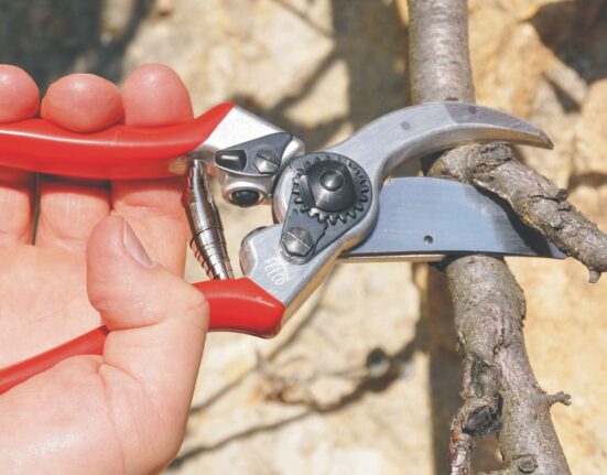Felco F-2 Pruning Shears Review: Durable and Comfortable for Heavy-Duty Trimming