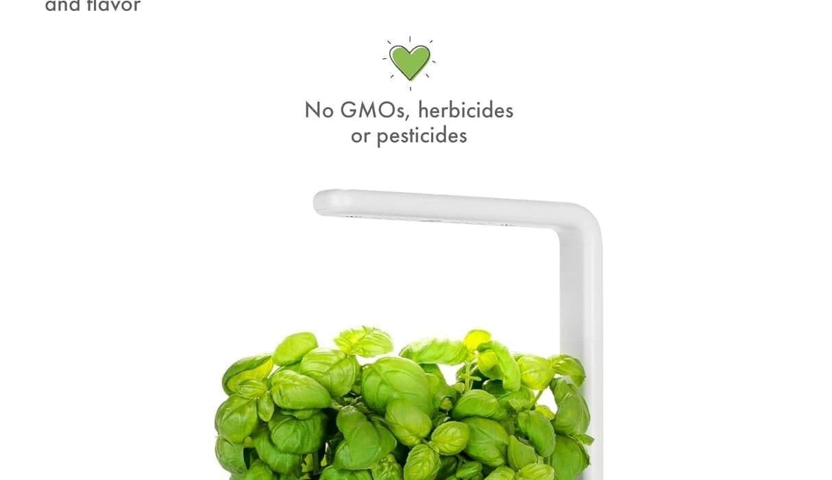 Click & Grow Smart Garden 3: The Best Indoor Smart Garden for Beginners