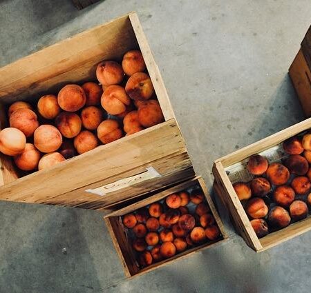 Garden Storage Solutions: Organize Your Tools and Supplies Efficiently