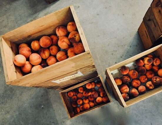 Garden Storage Solutions: Organize Your Tools and Supplies Efficiently