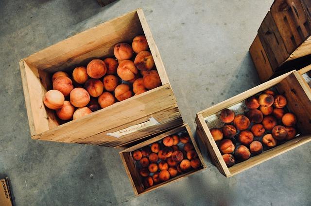 Garden Storage Solutions: Organize Your Tools and Supplies Efficiently