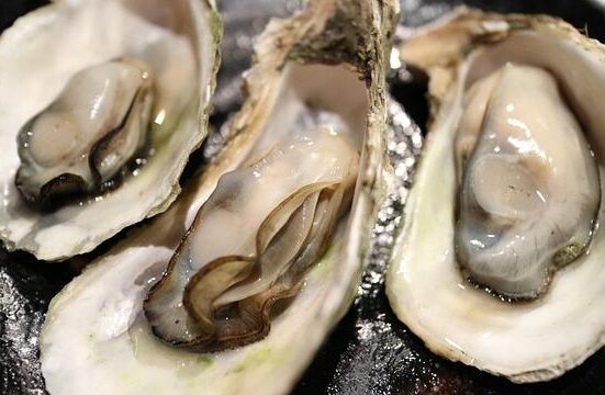 Oyster Subscription Boxes: Freshness, Variety, and Customer Satisfaction