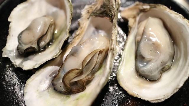 Oyster Subscription Boxes: Freshness, Variety, and Customer Satisfaction