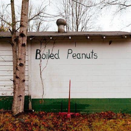 Boiled Peanuts by Dixie Grace: Southern Snack Tradition with a Twist