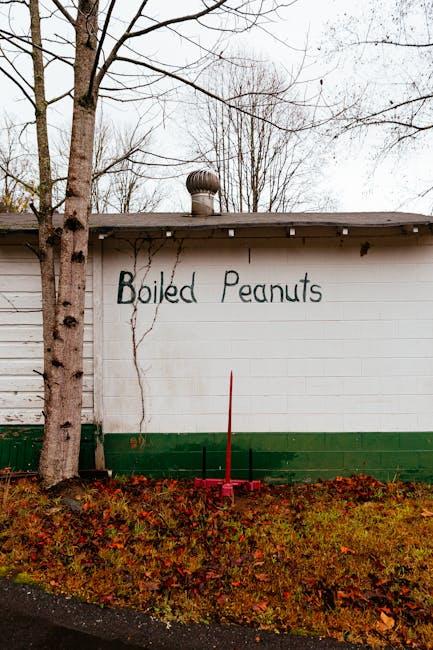 Boiled Peanuts by Dixie Grace: Southern Snack Tradition with a Twist