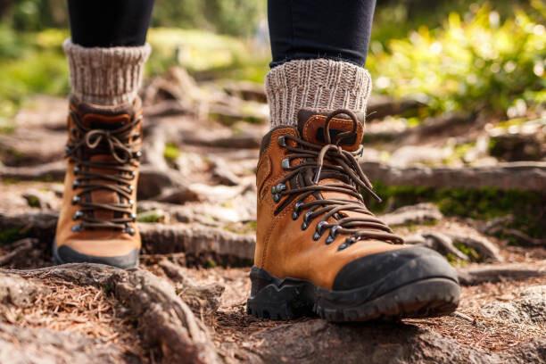 Unmatched ⁣Protection⁤ for⁢ Varied Terrain in the Great Outdoors