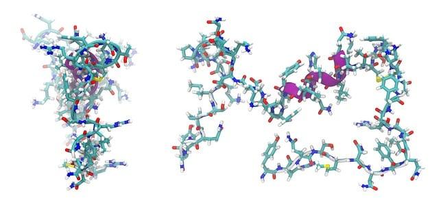 Joint Support: Evaluating the Efficacy of Collagen Peptides vs.​ Gelatin