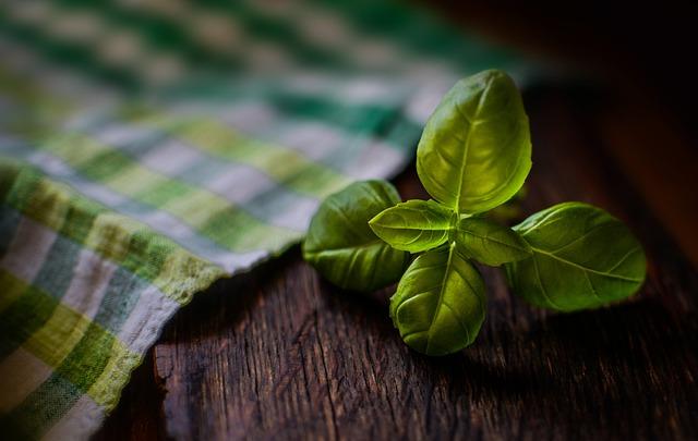 Essential features to Look for in a Quality Herb Garden Kit