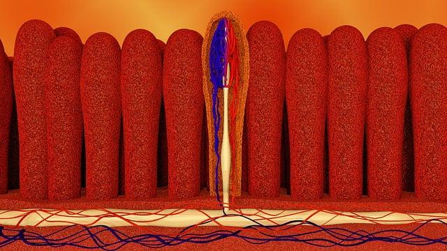 Understanding Bioavailability: Enhancing the Absorption of Curcumin