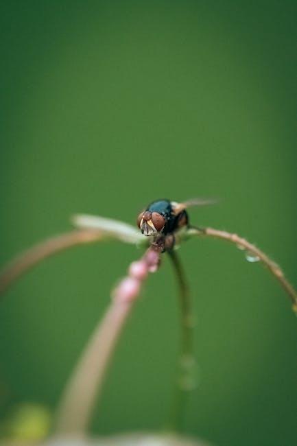 Natural Pest Deterrents for Healthy Organic Gardens