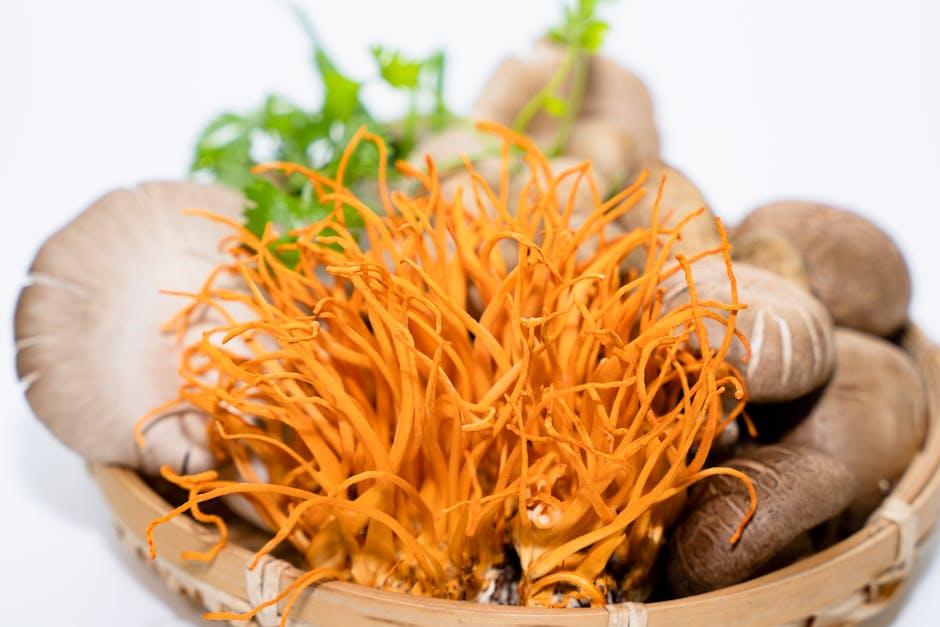 Harnessing the Energy-Enhancing‍ Potential of Cordyceps