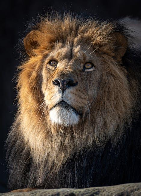 Exploring the Unique Benefits of Lion’s Mane for Cognitive ‌Health