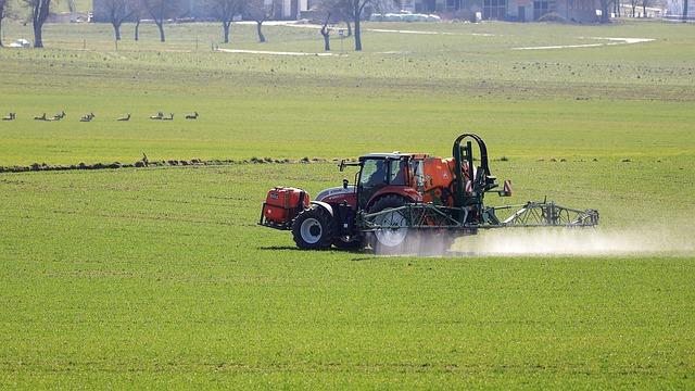 comparing Spruce to Other ‍Organic Weed Control Methods: Making ‌an Informed Choice