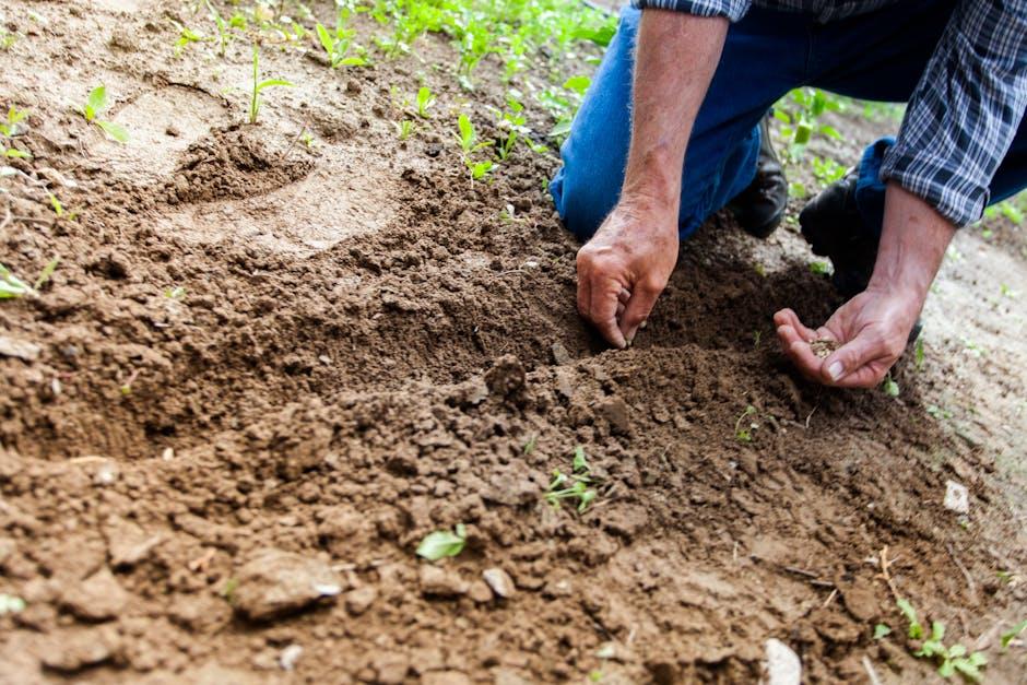 Key⁢ Features That⁤ Make Gardening Effortless
