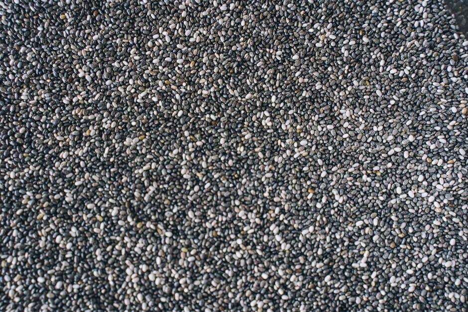 Our Top Picks for Trusted Chia Seed Brands on the market
