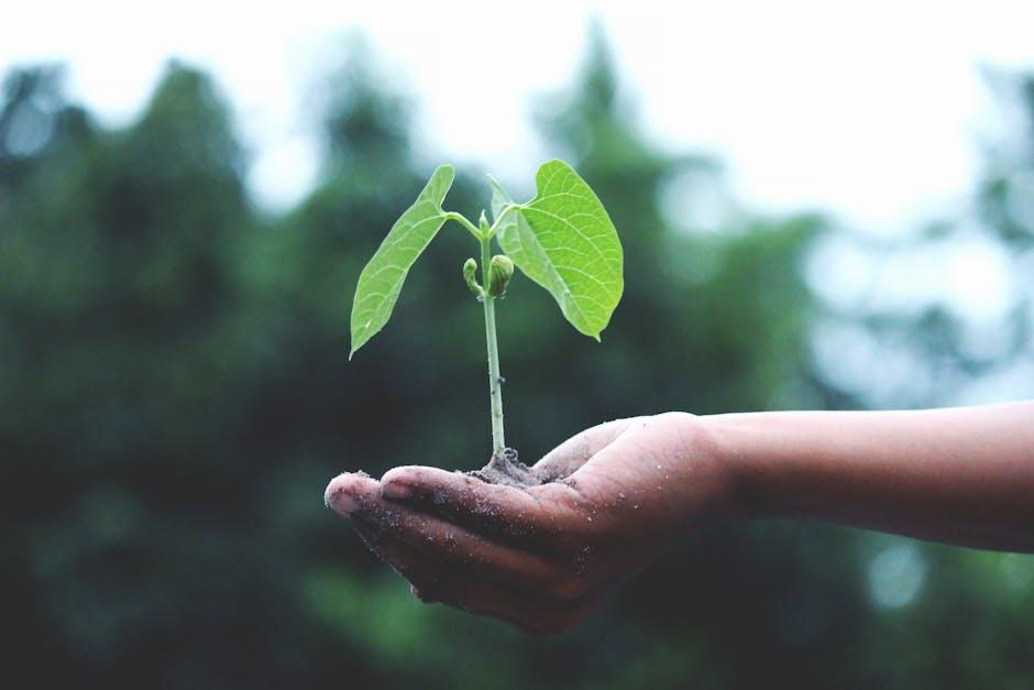 The ‌Innovative Ingredients Driving Cellular Regeneration