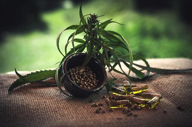 Integrating CBD into Your Daily Wellness Routine