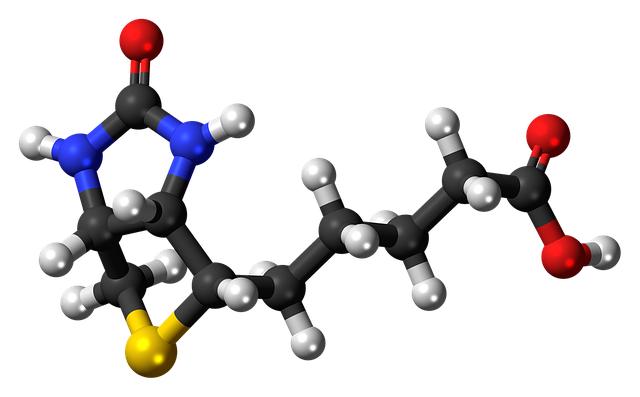 Understanding⁤ Biotin's Role ⁤in Hair and Skin Health
