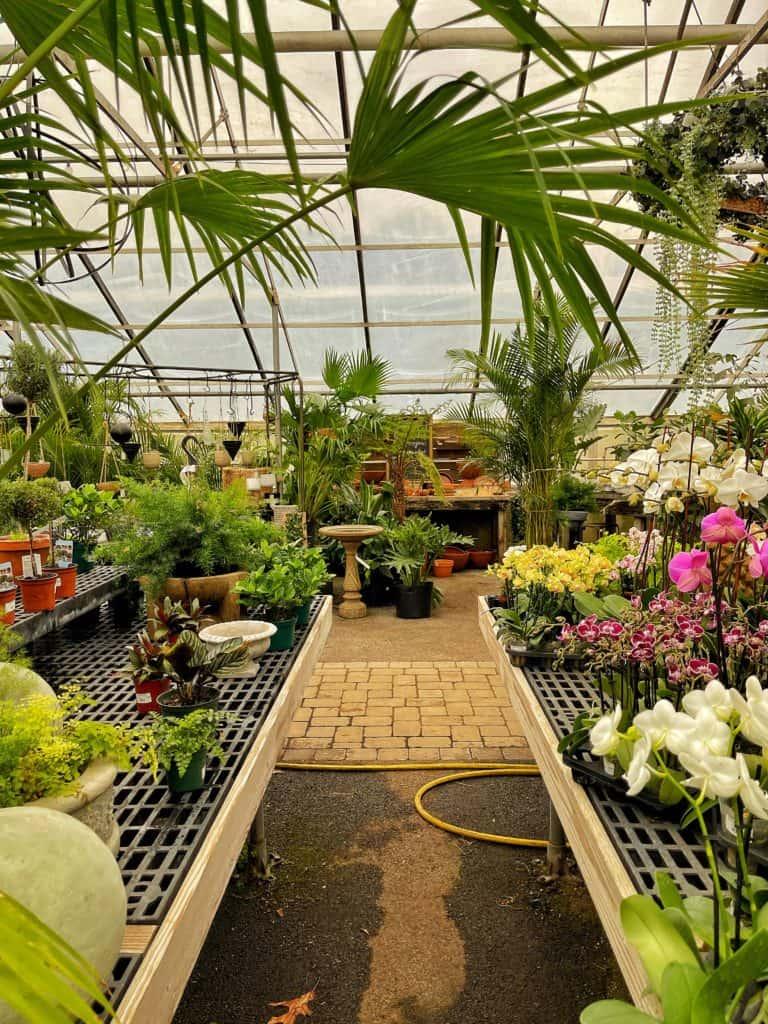 Choosing the ⁣Right Plants for ​Your Indoor Garden