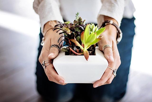 Harnessing Technology: The App That⁢ Transforms Indoor Gardening