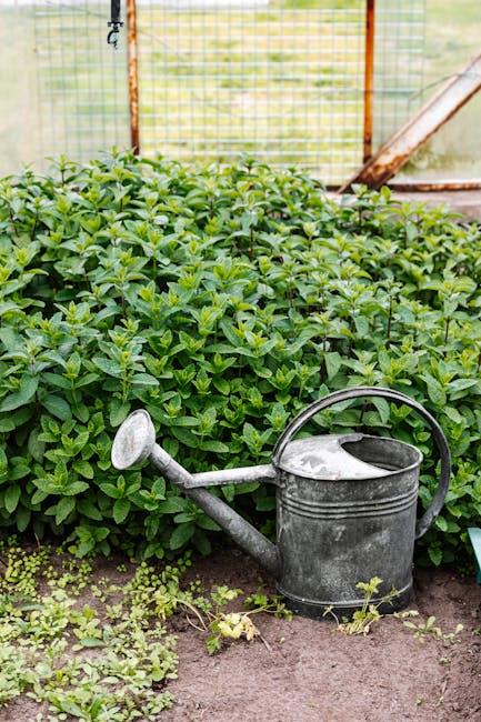 Understanding Soil Moisture: the Key to Healthy Plant Growth