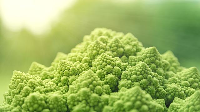 Exploring the Essential nutrients: What Vegan ⁤Multivitamins​ Should Deliver