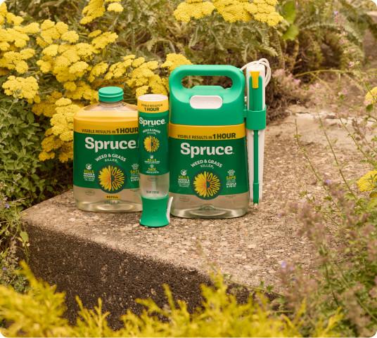 Understanding Spruce Weed and Grass Killer as an Organic Solution