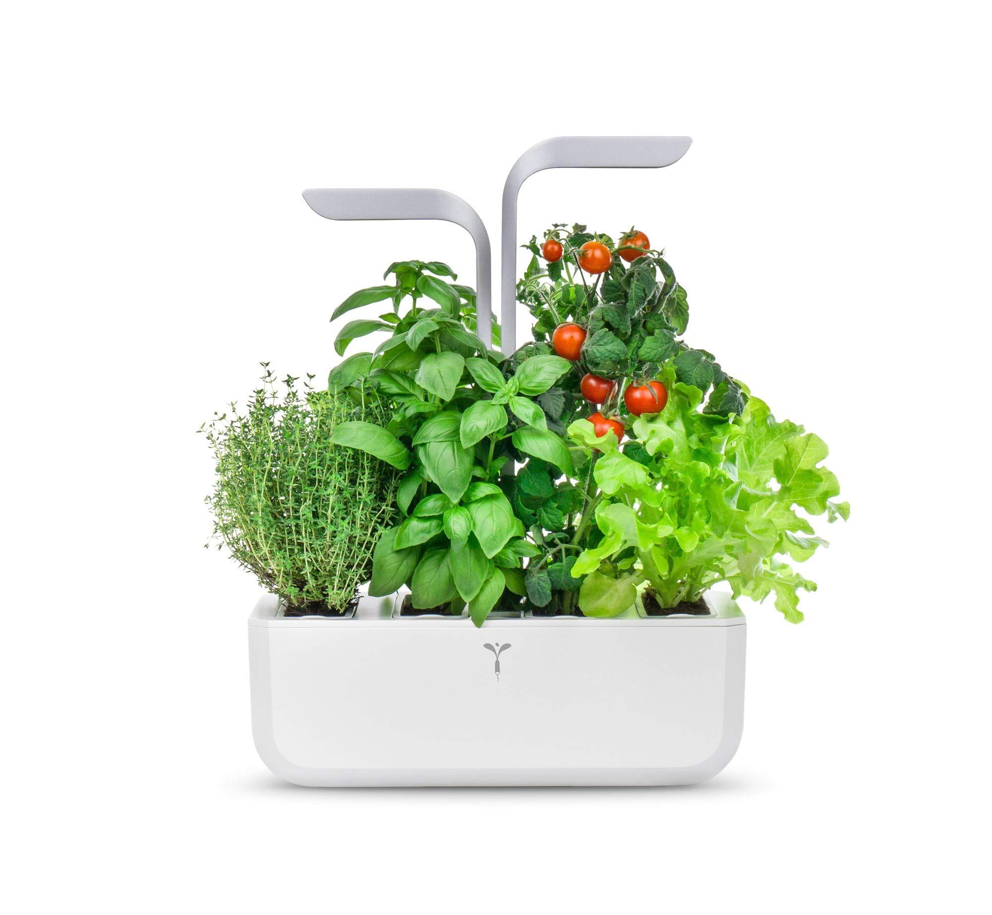 Exploring the Innovative‌ Design of the Veritable Smart Arctic White Garden
