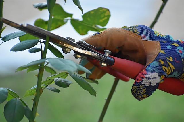 Craftsmanship and Design Excellence of Felco F-2 Pruning​ Shears