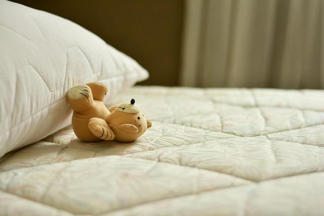 The Perfect Symphony of Comfort and Support