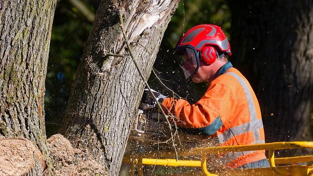 Expert Insights: The Science Behind Protective Equipment