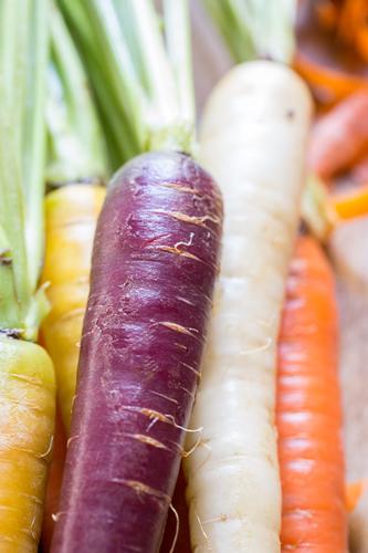 Exploring the Diversity of ⁣Purple Carrot's Plant-Based ⁢Offerings